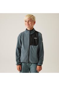 Regatta - Dziecięcy polar Frankie z pełnym zamkiem błyskawicznym. Kolor: szary. Materiał: polar #1