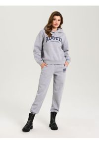 Sinsay - Spodnie dresowe - szary. Kolor: szary. Materiał: dresówka #1