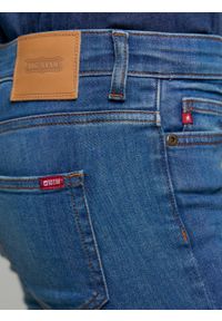 Big-Star - Spodnie jeans damskie Adela Straight 440. Kolor: niebieski. Styl: klasyczny