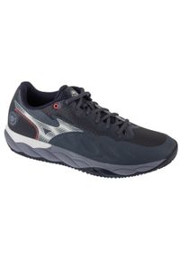 Mizuno - Buty do tenisa męskie, Wave Enforce Court CC Tennis. Kolor: szary. Model: Mizuno Wave. Sport: tenis