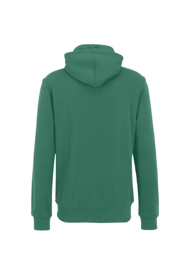 Bluza męska Fila Lumezzane. Typ kołnierza: kaptur. Kolor: zielony
