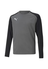 Puma - Koszulka Bramkarska TeamPACER Dla Dzieci/dzieci. Kolor: szary
