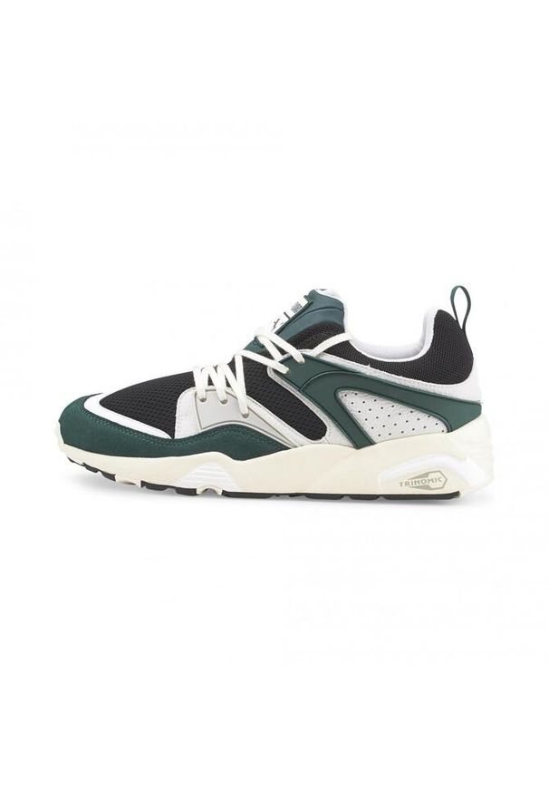 Buty do chodzenia męskie Puma Blaze Of Glory Prm M. Zapięcie: sznurówki. Kolor: zielony, wielokolorowy. Materiał: skóra, syntetyk, tkanina, materiał. Szerokość cholewki: normalna. Sport: turystyka piesza