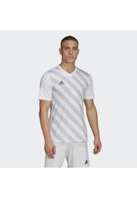 Adidas - Jersey adidas Entrada 22 Graphic. Kolor: wielokolorowy, szary, biały. Materiał: jersey. Sezon: lato. Sport: piłka nożna #1