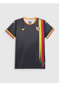4f - 4F Koszulka klubowa wyjazdowa z sezonu 2025/26 dziecięca 4F x Korona Kielce - multikolor 110/116. Kolor: wielokolorowy. Materiał: włókno, dzianina. Długość: długie. Sezon: lato. Styl: klasyczny, sportowy