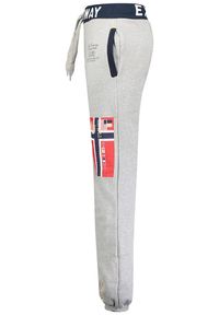 Geographical Norway - Spodnie sportowe męskie Geonorway Expedition Moliere. Kolor: szary. Materiał: bawełna, poliester