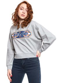 Wrangler - WRANGLER GEO HOODIE DAMSKA BLUZA Z KAPTUREM MID GREY MEL W6N3HPX37. Typ kołnierza: kaptur. Kolor: szary