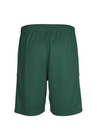 Spodenki sportowe dziecięce Hummel Core Kids Poly Shorts. Kolor: zielony. Styl: sportowy #2