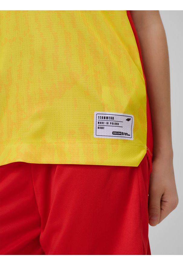 4f - 4F Koszulka meczowa replika domowa z sezonu 2025/26 dziecięca 4F x Ślęza Wrocław - żółta 146/152 (10-12 lat). Kolor: żółty. Materiał: materiał. Wzór: nadruk. Sezon: lato. Sport: fitness