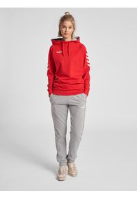 Bluza sportowa z kapturem damska Hummel Go Cotton Hoodie Woman. Typ kołnierza: kaptur. Kolor: czerwony, różowy, wielokolorowy