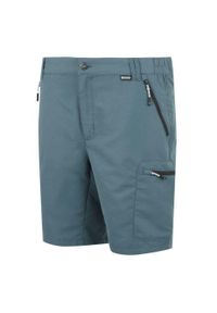 Regatta - Leesville II męskie spodenki trekkingowe. Kolor: niebieski. Materiał: tkanina, poliamid. Sport: turystyka piesza #2