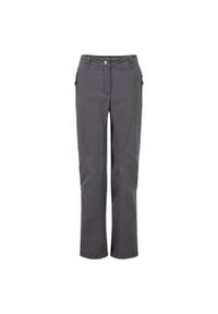 DARE 2B - Damskie Spodnie Trekkingowe Melodic II. Kolor: szary, niebieski, wielokolorowy. Sezon: lato. Sport: turystyka piesza #1