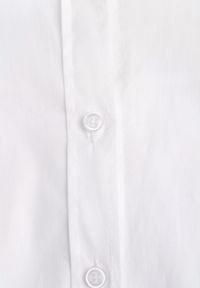 Renee - Biała Klasyczna Koszula Oversize z Bawełny Liasora. Okazja: na co dzień. Kolor: biały. Materiał: bawełna. Styl: klasyczny #6