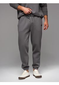 Ombre Clothing - Klasyczne spodnie dresowe ze ściągaczami unisex– szare V18. Kolor: szary. Materiał: dresówka. Wzór: aplikacja. Styl: klasyczny #9