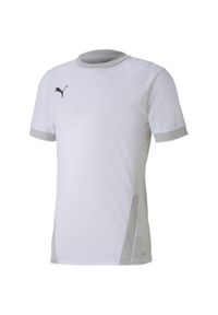 Puma - Męska Koszulka TeamGoal 23. Kolor: biały