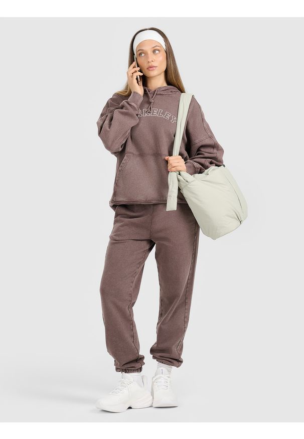 4f - 4F Spodnie dresowe joggery damskie - brązowe S. Kolor: brązowy. Materiał: dresówka