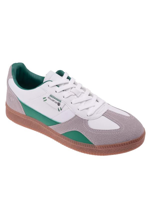 Iguana - Męskie Buty Treningowe Lecarde. Kolor: zielony, biały, wielokolorowy. Sport: turystyka piesza