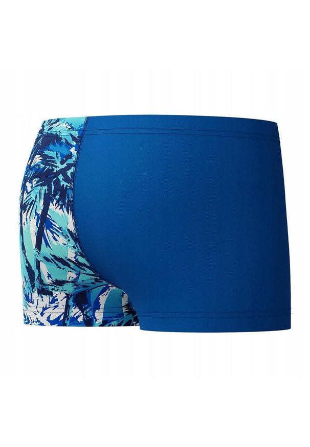 Speedo - Kąpielówki Chłopięce Alvr V. Kolor: niebieski