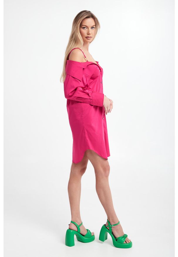 Blugirl Blumarine - Sukienka koszulowa BLUGIRL BLUMARINE. Typ sukienki: koszulowe