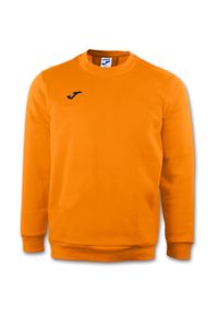 Bluza fitness męska Joma Cairo II. Kolor: pomarańczowy. Sport: fitness