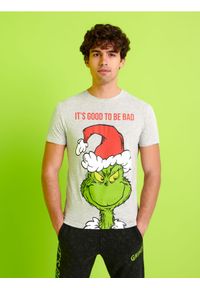 Sinsay - Koszulka Grinch - szary. Kolor: szary. Materiał: bawełna. Wzór: nadruk. Styl: wizytowy #1