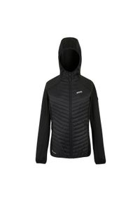 Regatta - Damska Kurtka Hybrydowa Anderson. Kolor: czarny. Sport: turystyka piesza #1