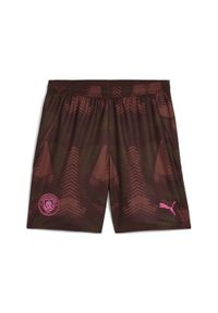Puma - Szorty bramkarskie Manchester City 24/25 PUMA Espresso Brown Wild Willow Green. Kolor: zielony, wielokolorowy, brązowy