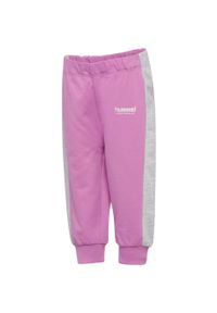 Spodnie dresowe dla dzieci Hummel Mini Loose. Kolor: fioletowy. Materiał: dresówka
