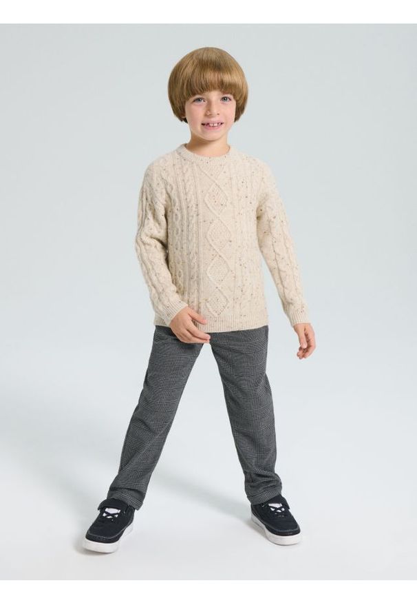 Sinsay - Sweter z dekoracyjnym splotem - beżowy. Kolor: beżowy. Wzór: ze splotem