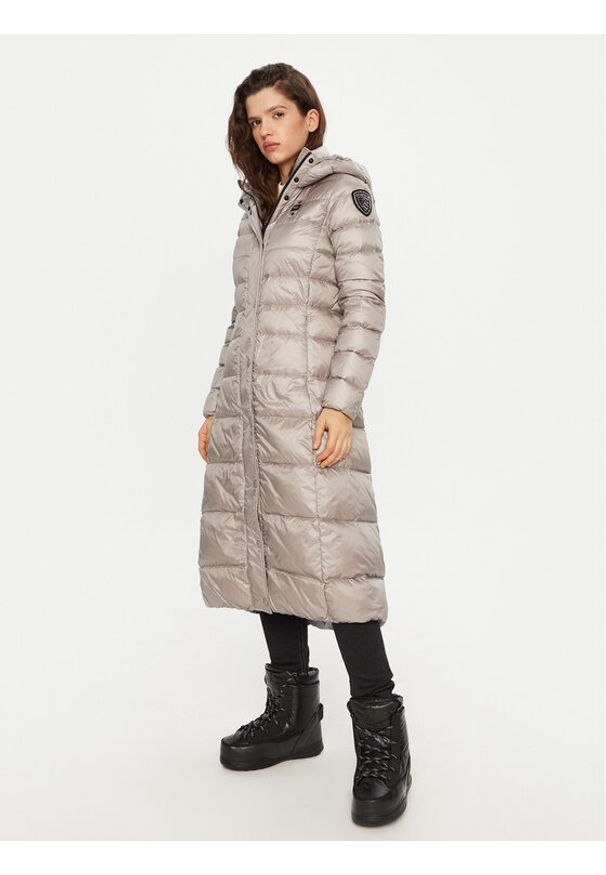 Blauer Płaszcz zimowy 24WBLDK03040 Srebrny Regular Fit. Kolor: srebrny. Materiał: syntetyk. Sezon: zima