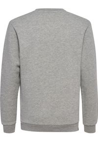 Bluza z kapturem dla dzieci Hummel hmlMOVER. Typ kołnierza: kaptur. Kolor: szary. Materiał: bawełna, materiał #2