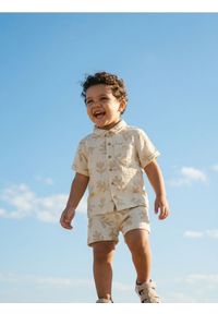 Sinsay - Bawełniane szorty z motywem liści - kremowy. Kolor: kremowy. Materiał: bawełna #1