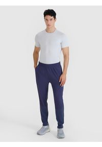 4f - 4F Spodnie do biegania w terenie szybkoschnące męskie - szare XL. Kolor: szary. Materiał: dzianina, elastan, włókno, syntetyk, materiał. Długość: krótkie. Wzór: jednolity, ze splotem. Sport: fitness, bieganie #1