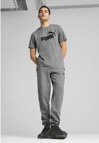 Puma - Męska koszulka Essentials z logo No. 1 PUMA Medium Gray Heather. Kolor: szary. Materiał: guma. Wzór: nadruk