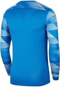 Bluza bramkarska męska Nike Dry Park IV JSY LS GK. Kolor: niebieski