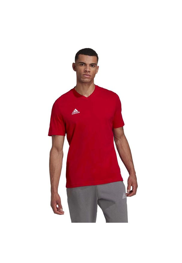 Koszulka Adidas Sport Ent22 Dorosłych. Kolor: czerwony. Materiał: bawełna. Sport: piłka nożna