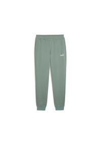 Puma Spodnie Ess 2 Color No.1 Logo Tr Cl 68471430. Kolor: zielony