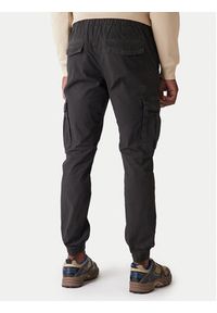Tommy Jeans Spodnie materiałowe DM0DM22003 Szary Regular Fit. Kolor: szary. Materiał: bawełna #4