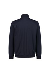 Bluza męska CMP. Kolor: niebieski. Sport: turystyka piesza #2