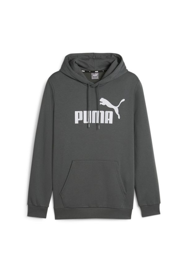 Puma - Bluza męska PUMA Essentials Big Logo Hoodie FL. Typ kołnierza: kaptur. Kolor: szary. Sport: fitness