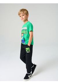 Sinsay - Spodnie dresowe Minecraft - czarny. Kolor: czarny. Materiał: dresówka