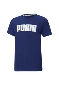 Dziecięce T-shirt Puma Alpha Graphic Tee B 116 - Komfort i styl. Kolor: wielokolorowy