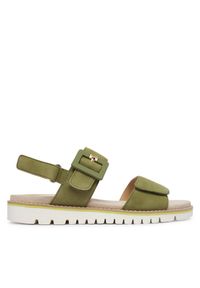 Sandały Ara. Kolor: zielony. Styl: sportowy #1