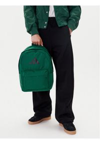 Adidas - adidas Plecak C-CLSC BARS BP IS7053 Zielony. Kolor: zielony. Materiał: materiał #1