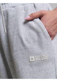 Big-Star - Spodnie dresowe damskie szare Nina 901. Kolekcja: plus size. Kolor: szary. Materiał: dresówka. Sezon: lato #4