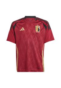Adidas - Koszulka domowa dla dzieci Belgique Euro. Kolor: czerwony, brązowy, wielokolorowy. Sport: piłka nożna
