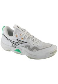 Mizuno - Buty do siatkówki męskie, Wave Momentum Elite. Kolor: biały. Model: Mizuno Wave. Sport: siatkówka #1