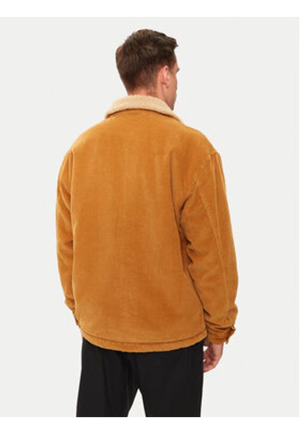 Quiksilver Kurtka przejściowa DNA Sherpa Harrington EQYJK04064 Beżowy Regular Fit. Kolor: beżowy. Materiał: bawełna