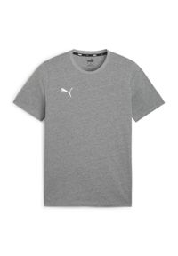 Koszulka sportowa męska Puma Team Goal Casuals. Kolor: szary. Materiał: bawełna. Długość rękawa: krótki rękaw. Długość: krótkie. Sport: fitness