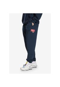 Spodnie dresowe męskie Prosto Chicago. Kolor: niebieski. Materiał: dresówka #1